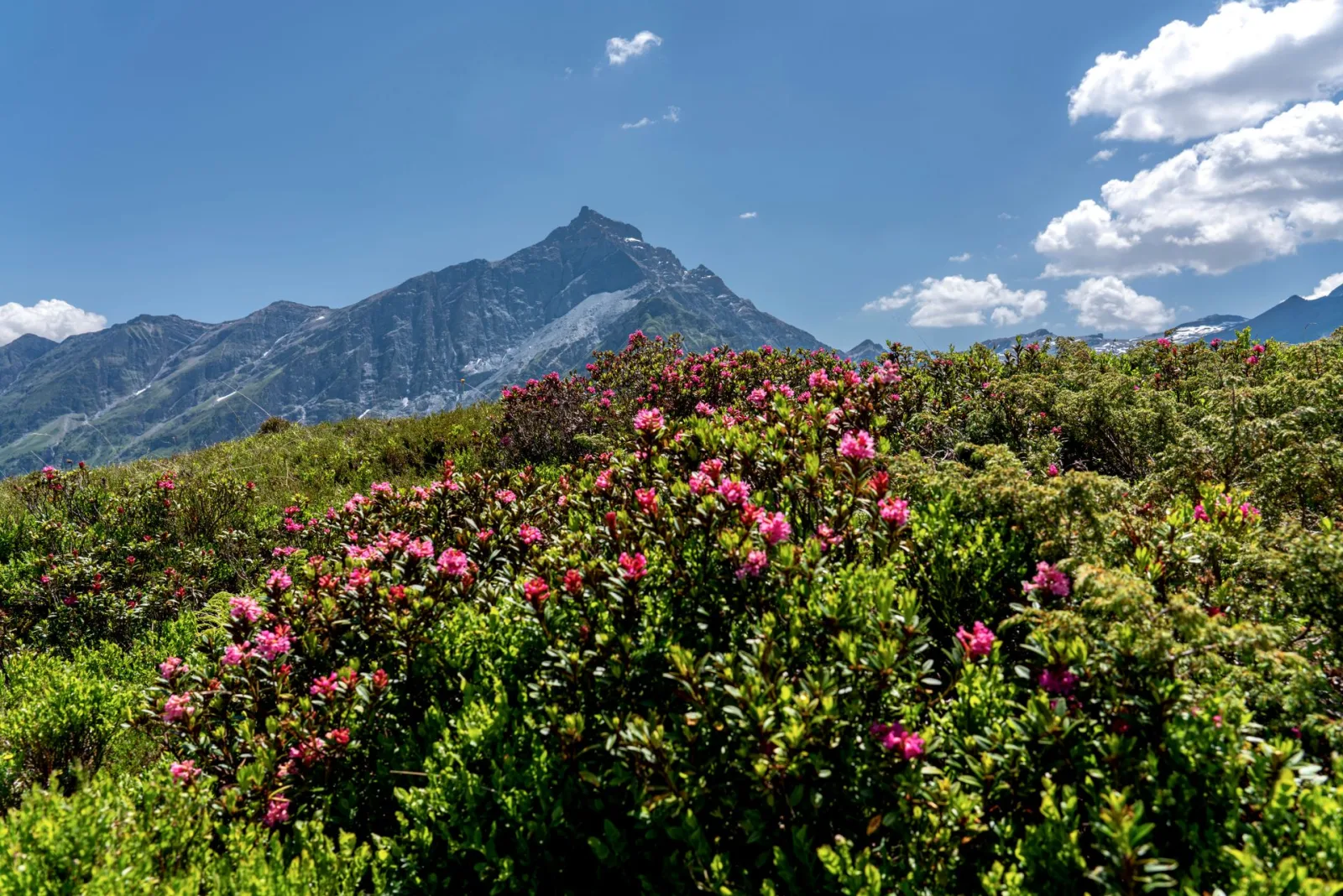 May and June Adi Kailash Yatra Guide
