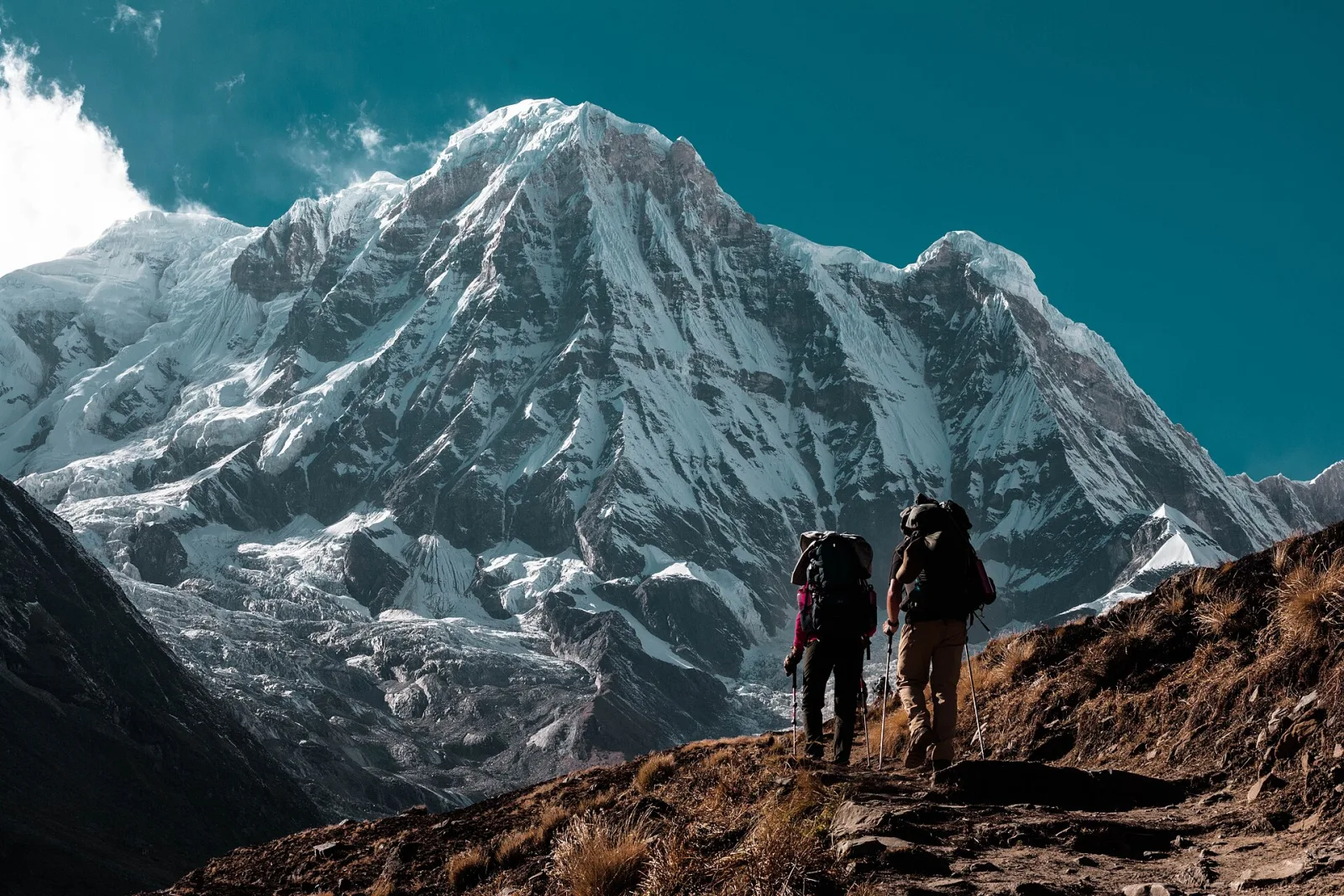 Chopta Tungnath and Chandrashila Trek Guide