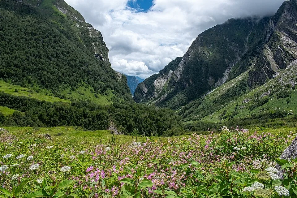 Complete Uttarakhand Road Trip Guide