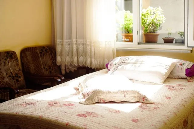 Pithoragarh Comfort Homestay photo 1