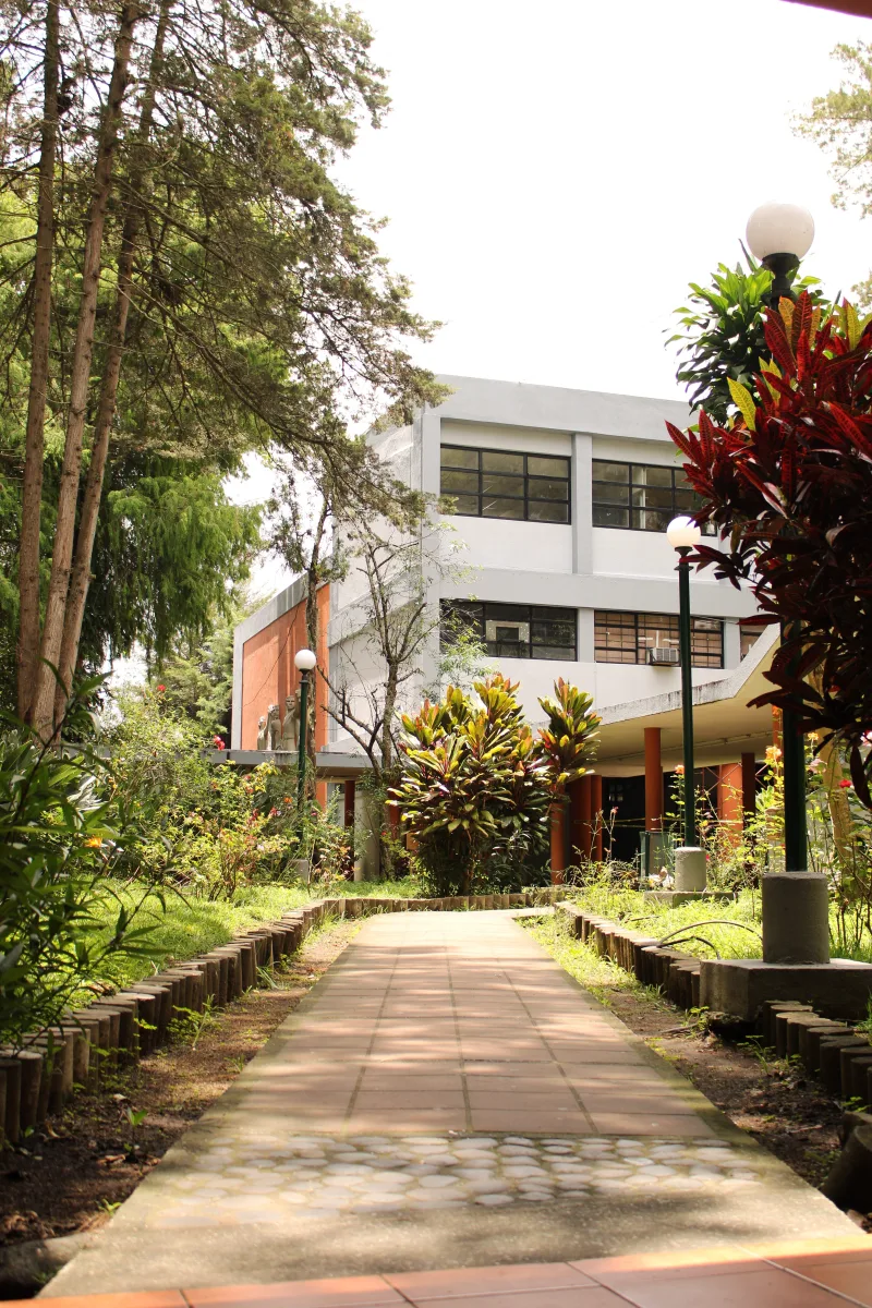 Chaukori Sunrise Homestay